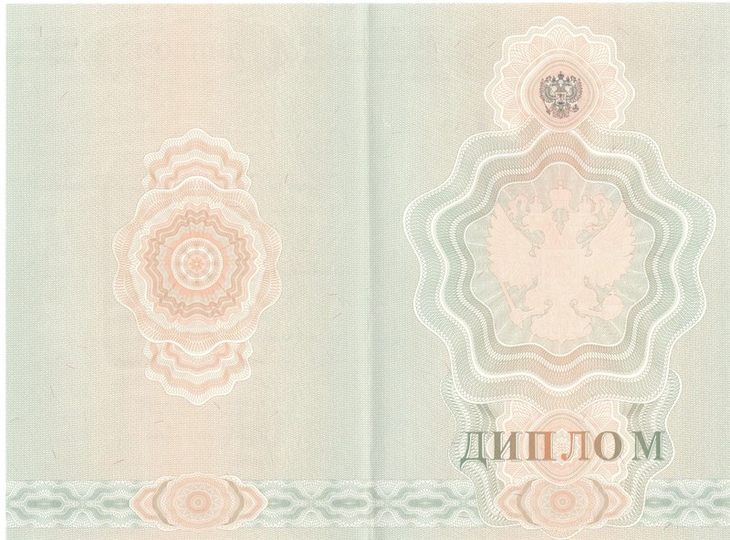 Купить Диплом о начальном образовании 2007-2009 годов в Бердске Купить Диплом о начальном образовании 2007-2009 годов в Бердске