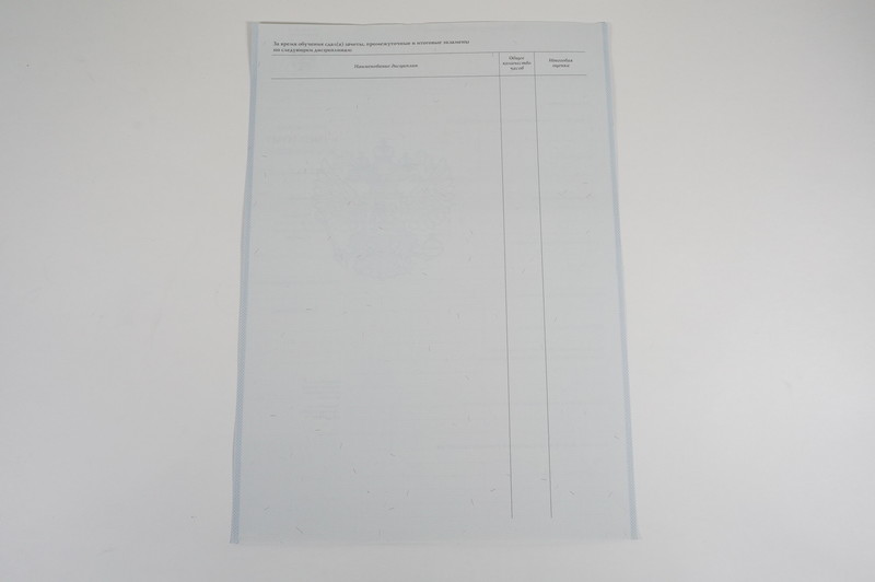 Диплом о начальном образовании 2007-2009 годов в Бердске Диплом о начальном образовании 2007-2009 годов в Бердске