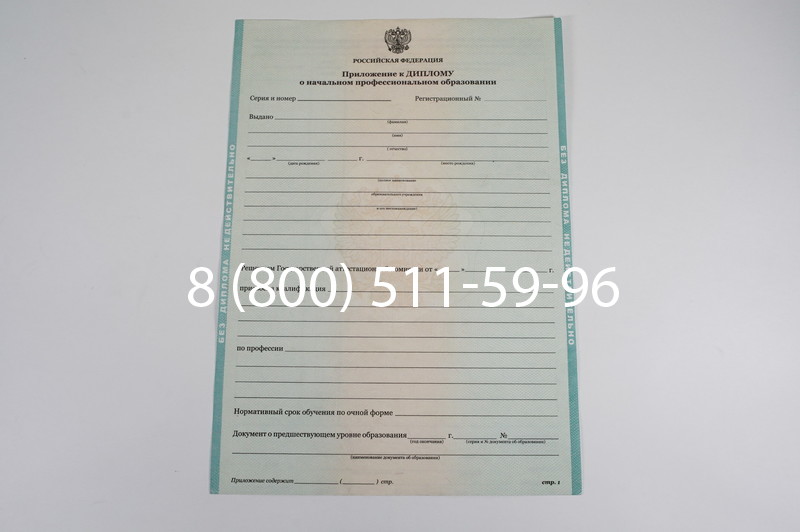Диплом ПТУ 2014-2024 года в Бердске Диплом ПТУ 2014-2024 года в Бердске