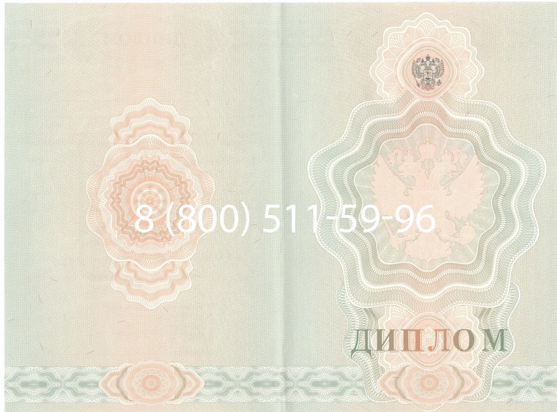 Купить Диплом училища 2007-2009 годов в Бердске